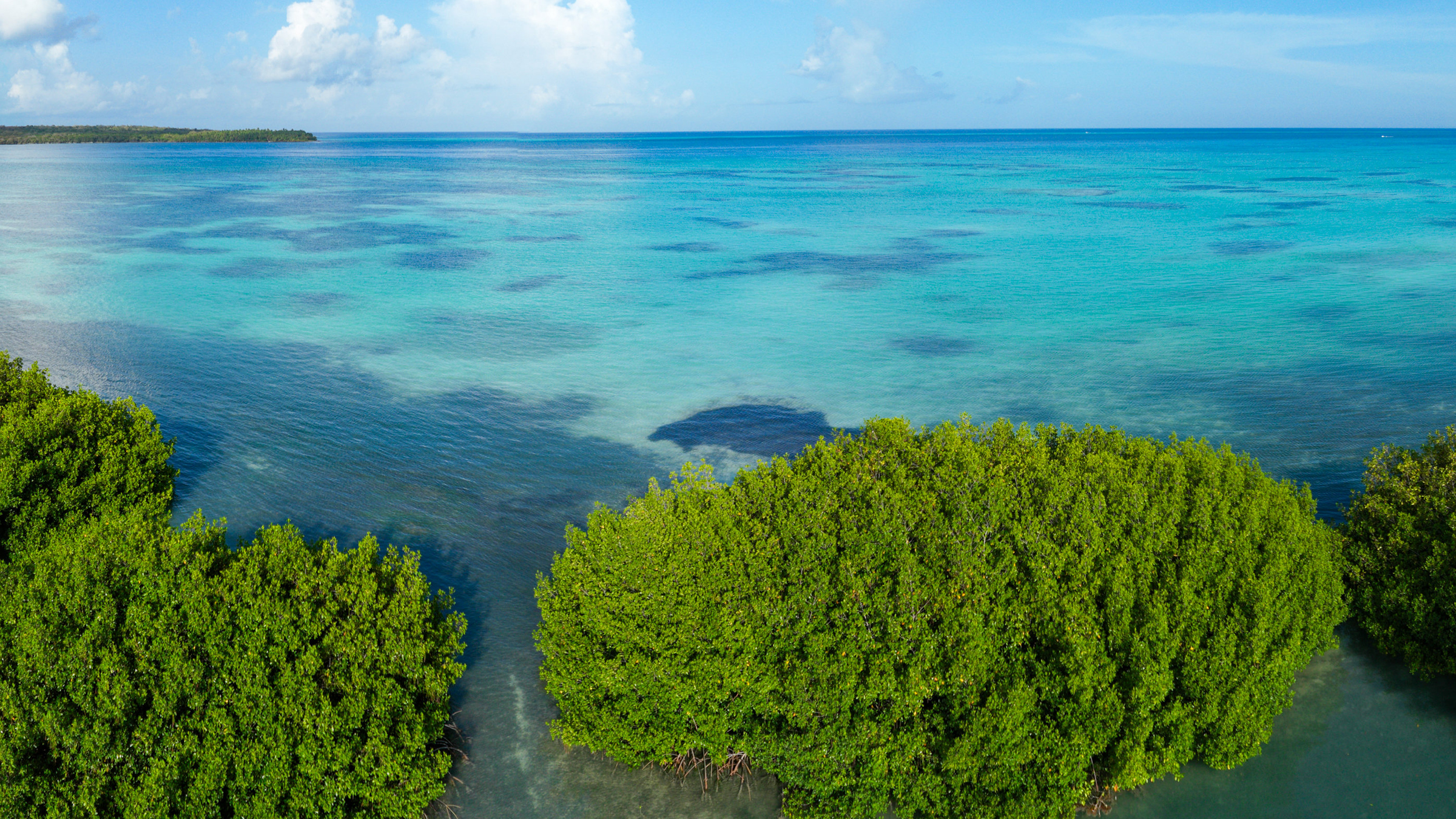Portada de Dominicana360